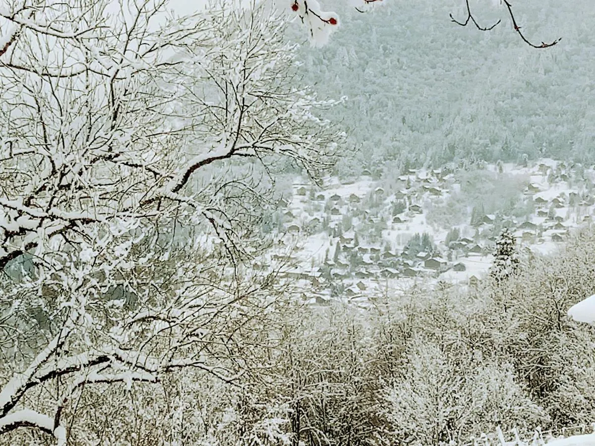 Le Chalet Du Blanc Spa Yoga Aillon-le-Jeune Bed & Breakfast